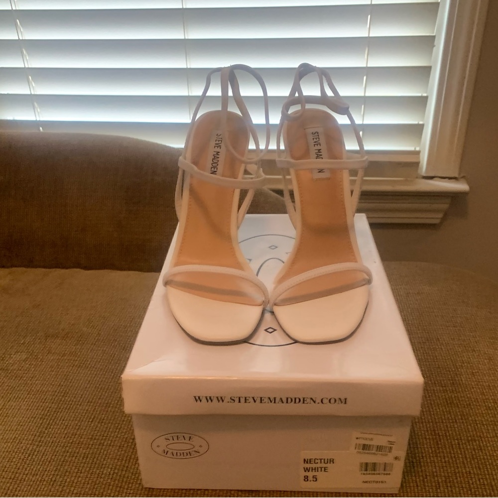 Steve Madden Nectur